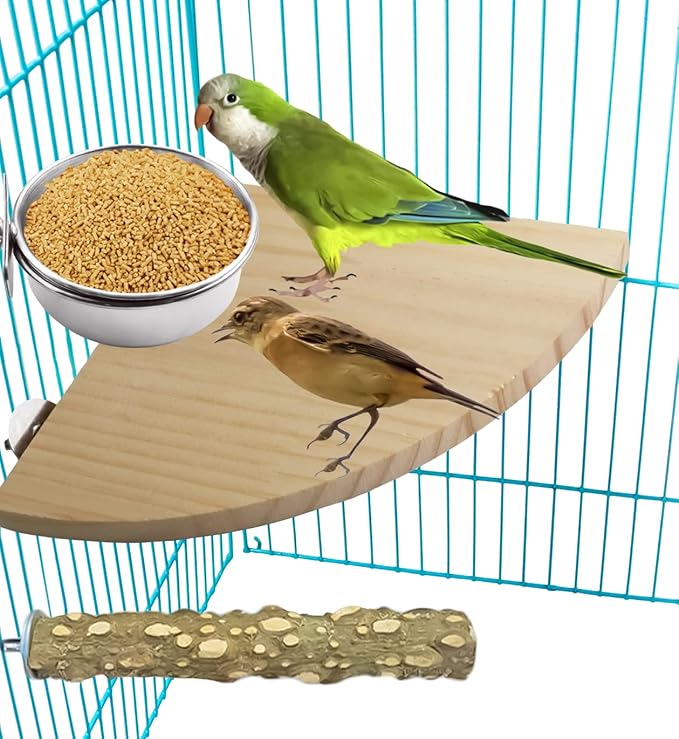 MotBach 3 Pack Bird Feeding Bowls Cups Parrot Food Water Dishes, Stainless Steel Bird Bowl Cup Dish with Clamp, Birdcage Feeder Pet Cage Bowls for Cockatiel Budgie Conure Macaw Parakeet Small Animal