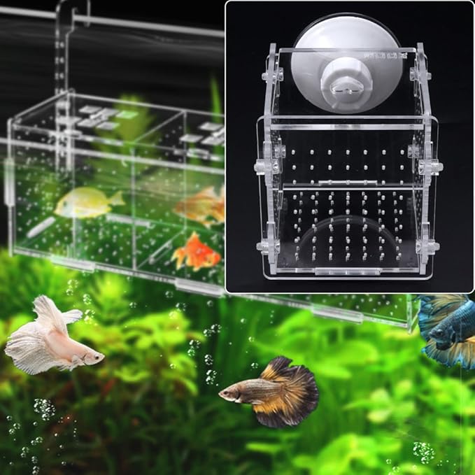 Fish for Tank Hatchery Incubator Aquarium Breeding Box Acrylic Breeder Isolation Hatching Boxes with Suction Cup on Large Net Mesh Aquarium Small Floating Large Mesh