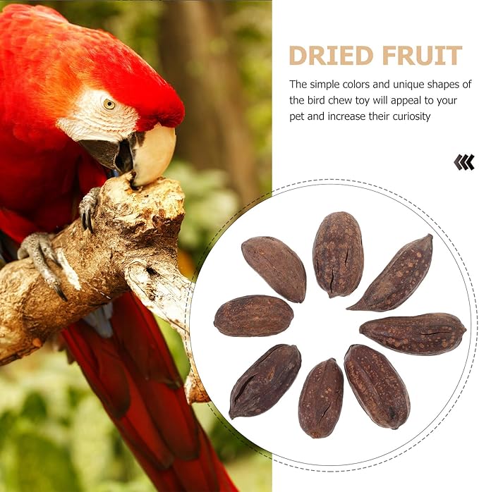 8pcs Natural Dried Fruit Bird Chewing for Parakeet Cockatiel Budgie Parrot Biting Treats Healthy Cage Accessories to Reduce Loneliness and Provide Fun Enrichment