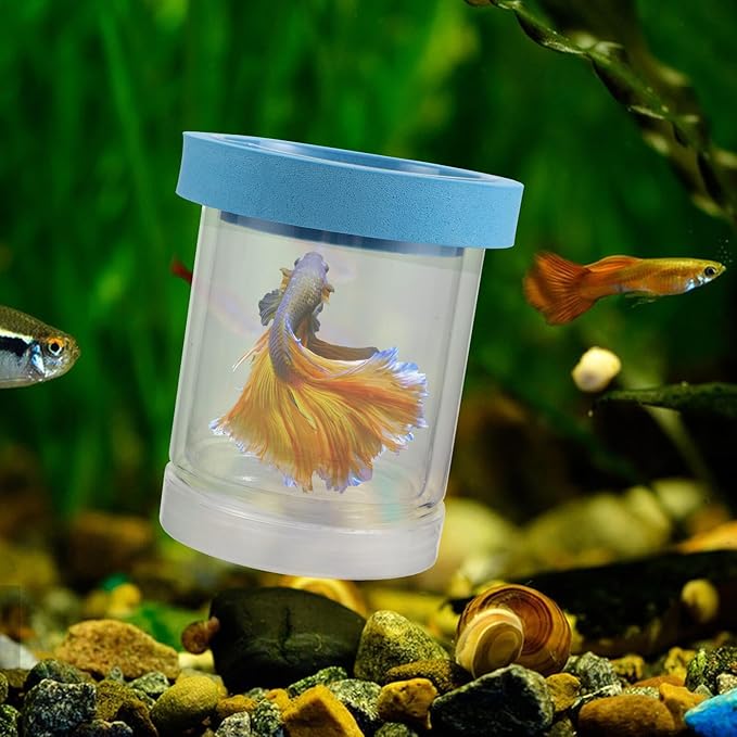 2pcs Aquarium Fish Breeder Box Floating Acrylic Isolation Hatchery Incubator with Suction Cups for Guppy Fry and Small Fish Breeding Tank Separation