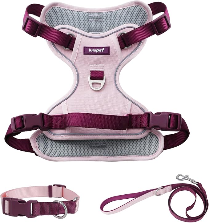 No Pull Dog Harness Leash and Collar Set, Soft Adjustable Dogs Vest Reflective and Comfortable Handle Pink X-Large