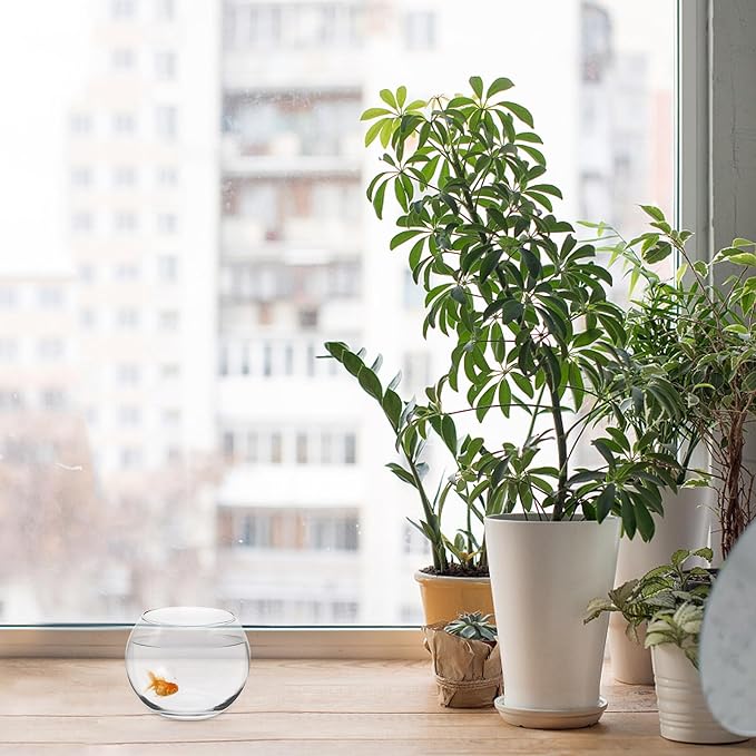 Glass Fish Bowl Aquarium Glass Goldfish Bowl 12-inch Diameter Home and Office Plant Cultivation