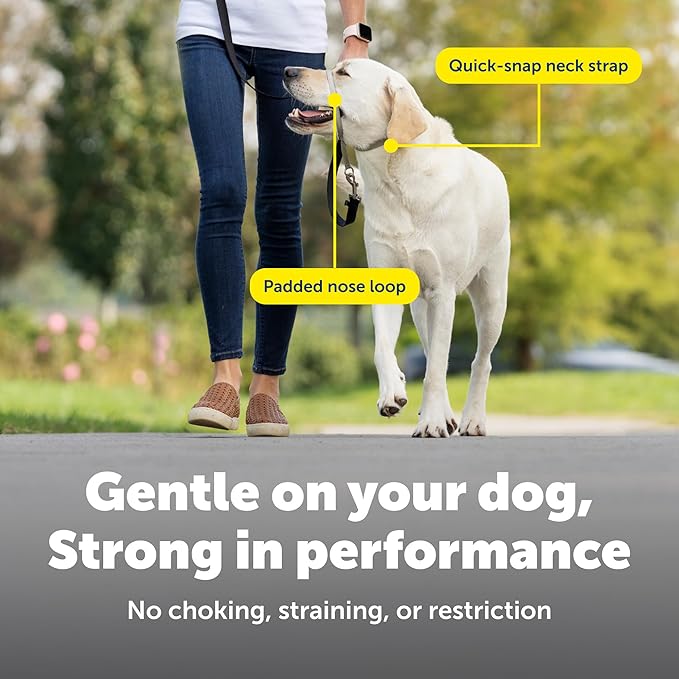 PetSafe Gentle Leader Headcollar No-Pull Dog Collar - Helps Improve Walks - Durable Nylon Construction - Padded Nose Loop - Adjustable Fit - Comfort Walking Halter - Large, Deep Purple