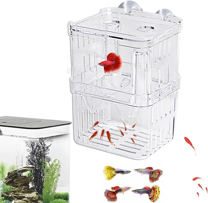 1/2 Fish Acclimation Box - Acrylic Hatchery Incubator Tank, Fish Breeder Box with 2 Suction Cups | Easily Install Breeding Isolation Box, Floating Breeding Box for Baby Fishes Shrimp Betta Guppy
