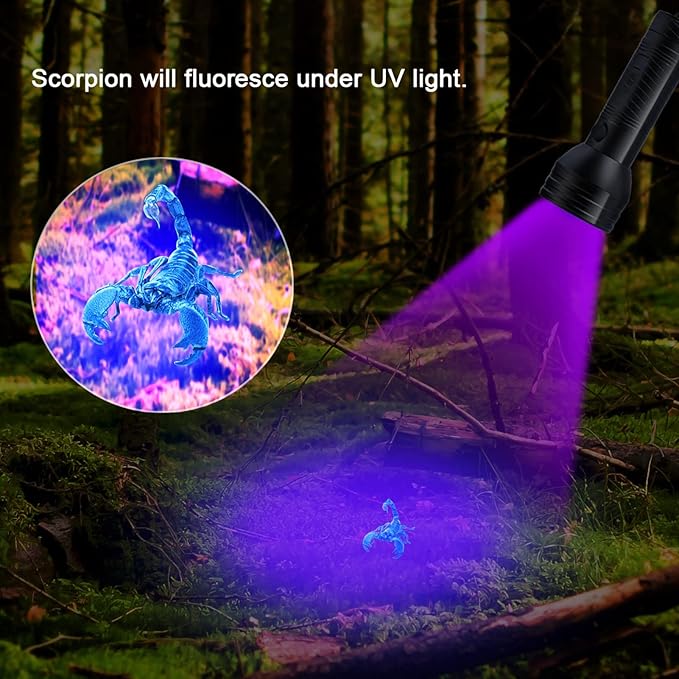 GLOGLOW Pet Inspection Lamp, Detector Ultra Violet LED Flashlight Backlight 51 LED Inspection Lamp Torch Light Flashlight for Dog Cat Urine Pet
