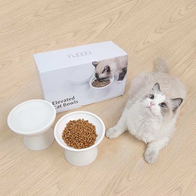 Extra Wide Elevated Ceramic Cat Water Bowl - 6.2" Deeper Dish for Whisker Fatigue Relief, 5" Height for Easy Feeding, Lead & Cadmium Free, Durable Raised Cat Bowls, White