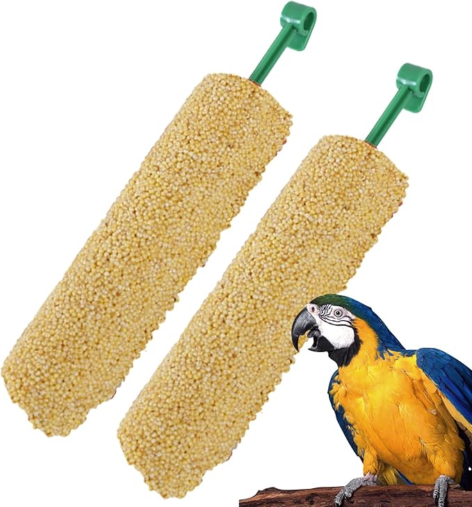 Bird Treat Sticks - Natural Foraging Snacks for Parakeets, Conures, Small Birds with Chewing and Training Benefits | 2-Piece Reward Food for Myna, Finch, Parrot, Fun and Healthy Bird Care