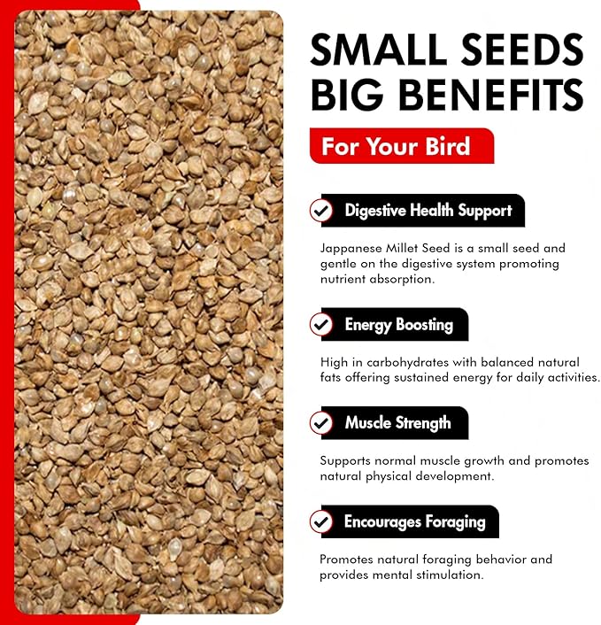 Morning Bird Japanese Millet Seed Bag 1.5 lbs - Healthy & Nutritious Pet Bird Food to Support Health & Immunity - Delicious Unique and Natural Flavor – Ideal Bird Feed for All Seed Eating Birds