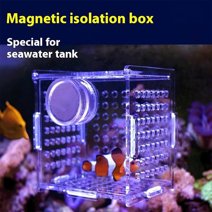 Generic Acrylic Fish Breeding Box, Magnetic Fish Isolation Box for Aquarium Hatchery Incubator Tank for Baby Fishes Shrimp Clownfish Guppy