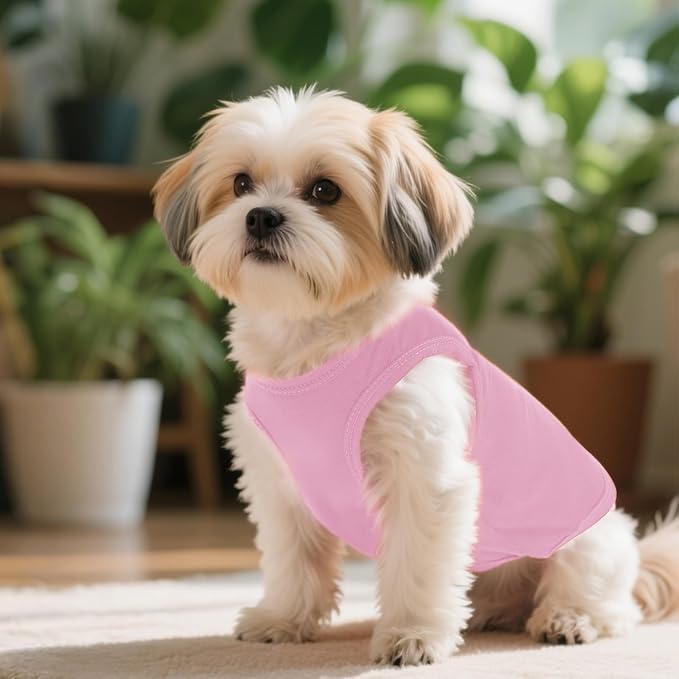 4 Pcs Cat Shirts Solid Color Dog Clothes Summer Sleeveless Pet T Shirts for Small Pet Dogs Cat (Black,Pink,Grey,Rose red, X-Small)