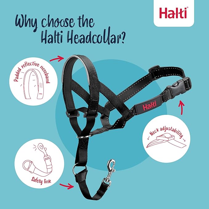 Halti Headcollar - Stop Your Dog Pulling on the Leash. Adjustable, Reflective and Lightweight, with Padded Nose Band. Dog Training Anti-Pull Collar for Medium Dogs (Size 3, Black)
