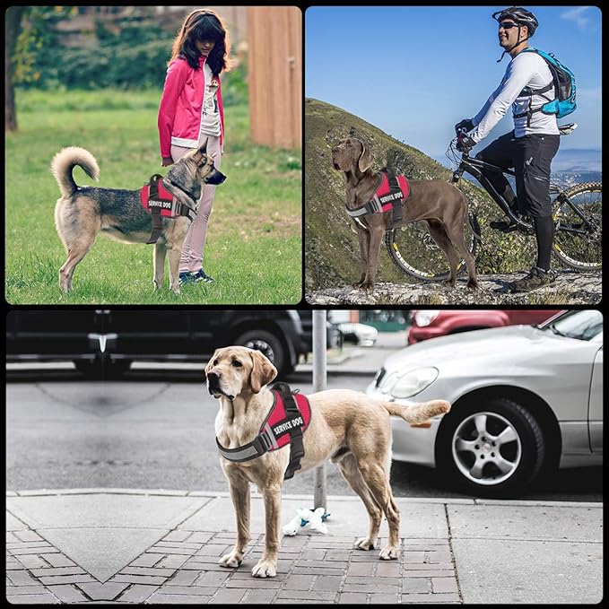 JSXD Dog Harness,No-Pull Service Dog Harness with Handle Adjustable Outdoor Pet Dog Vest 3M Reflective Nylon Material Vest for Breeds,Easy Control for Small Medium Large Dogs