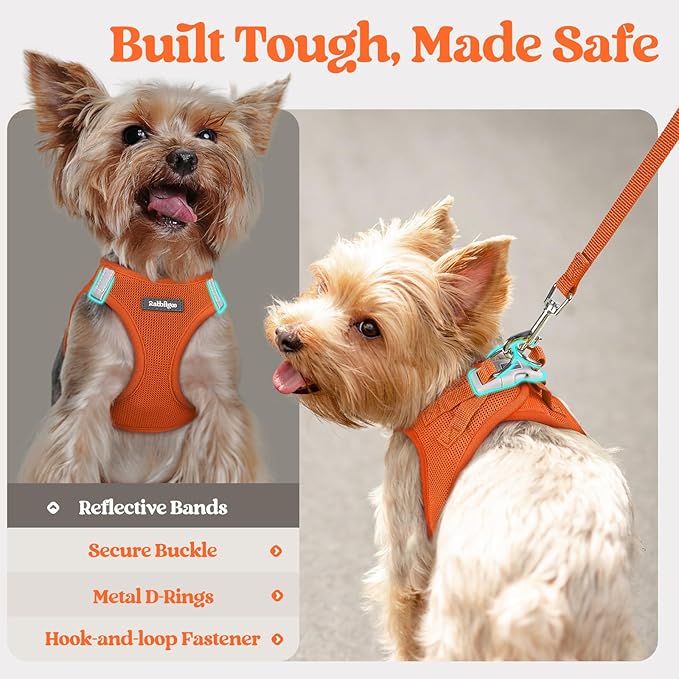 rabbitgoo Dog Harness Small Sized and Leash Set, Step in Soft Light Puppy Vest, Breathable Mesh Pet Harness, Reflective for Safe Easy Walking, Orange S