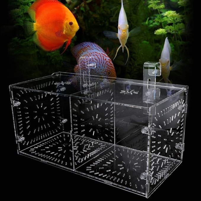 Fish Tank Breeding Box Acrylic Isolation Incubation, Adjustable Height, Transparent - Durable Material, Stable Attachment, Ideal for Aggressive and Sick Fish (30CM*15CM*15CM)
