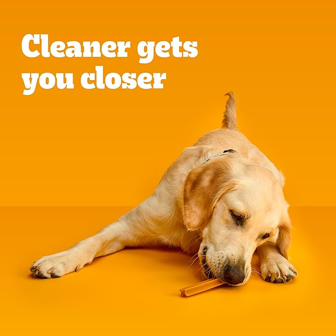 Pedigree Dentastix Large Dog Treats, Original Flavor with Real Chicken, 1.66 lb. Bag (32 Treats Total)