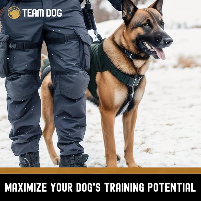 Team Dog Freeze-Dried Raw Pork Soft Dog Treats & Dog Food Topper | Grain Free Dog Treats for Training | 100% USA-Sourced Pork for Cleaner Teeth, Digestive Health & Muscle Growth | 14 oz Bulk Size