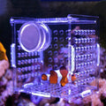 Generic Acrylic Fish Breeding Box, Magnetic Fish Isolation Box for Aquarium Hatchery Incubator Tank for Baby Fishes Shrimp Clownfish Guppy