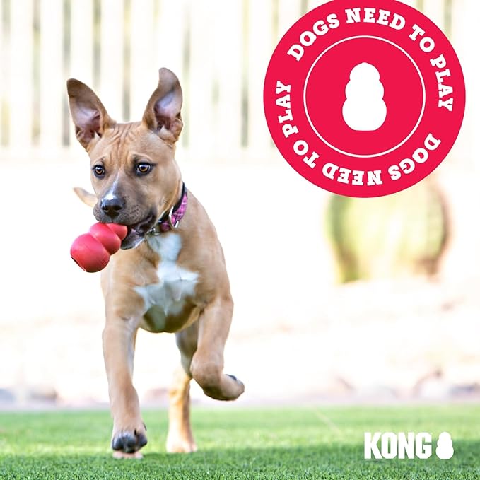 KONG Wubba - Dog Toy for Tug of War & Fetch - Dog Supplies for Puppy & Dog Playtime - Outdoor & Indoor Dog Toy - for XL Dogs - Randomly Provided Color