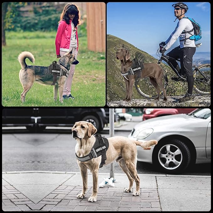 JSXD Dog Harness,No-Pull Service Dog Harness with Handle Adjustable Outdoor Pet Dog Vest 3M Reflective Nylon Material Vest for Breeds,Easy Control for Small Medium Large Dogs (XXL, Black)