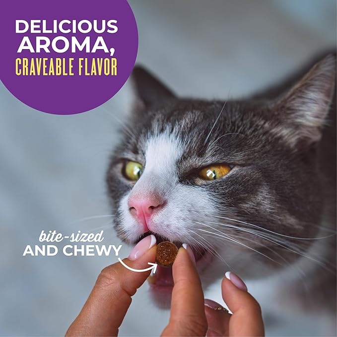 Tiki Cat Soft & Chewy Treats, Chicken Flavor, 3 Calories Per Treat with Grain-Free and No Added Gluten, 6 oz Pouch (Pack of 1)
