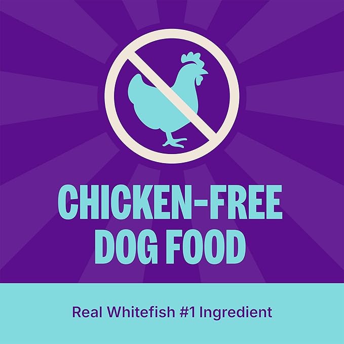 Wellness CORE+ Adult Dry Dog Food with Freeze Dried Pieces, Grain Free Kibble+, Natural, High Protein, Chicken Free, Whitefish, Herring, and Salmon Recipe, 10 lb Bag