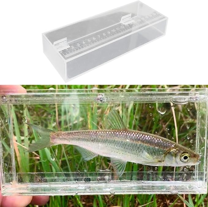 Fishing Photo Tank Fish Isolation Box Acrylic Aquarium Transparent Hatching Incubator Case, 22x4.2x8cm
