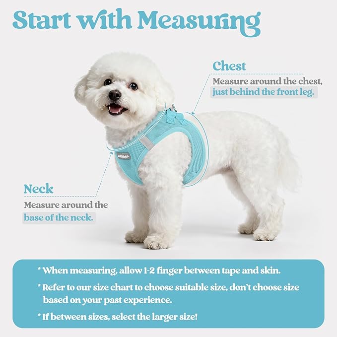 rabbitgoo Dog Harness Small Sized and Leash Set, Step in Soft Light Puppy Vest, Breathable Mesh Pet Harness, Reflective for Safe Easy Walking, Mint Blue XXXS