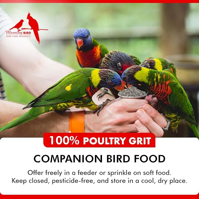 Morning Bird Poultry Grit for Birds 9 lbs - Mineral-Rich Supplement for Digestion & Calcium Support - Natural Poultry Feed Additive and Chicken Grit for Healthy Birds