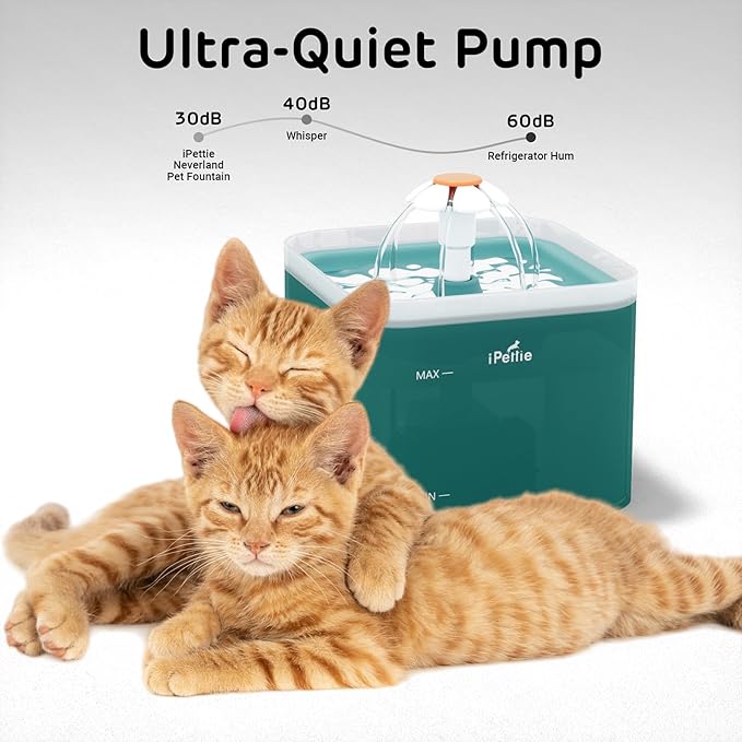 iPettie Neverland Cat Water Fountain with LED Light, 67oz/2.0L, Ultra Quiet Drinking Waterer, Automatic Filtered Water Dispenser, Water Purifier for Pets, Cyan