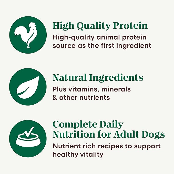 Nutro Adult Wet Dog Food, Natural Grain Free Dog Food Wet Cuts in Gravy Savory Lamb & Vegetables Stew Recipe, 3.5 oz. Trays (Pack of 24)