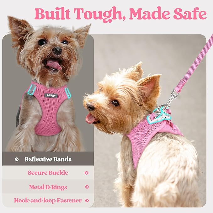 rabbitgoo Dog Harness Small Sized and Leash Set, Step in Soft Light Puppy Vest, Breathable Mesh Pet Harness, Reflective for Safe Easy Walking, Light Pink S