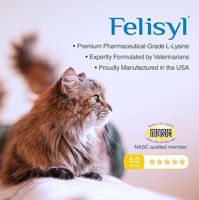L-Lysine Gel for Cats & Kittens (5oz) – Immune System, Respiratory & Eye Health Support. Reduces Sneezing, Runny Nose & Watery Eyes. Daily Salmon-Flavor Supplement – Made in USA (6 Pack)