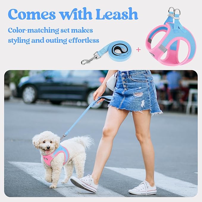 rabbitgoo Dog Harness Small Sized and Leash Set, Step in Soft Light Puppy Vest, Breathable Mesh Pet Harness, Reflective for Safe Easy Walking, Blue & Light Pink XXS