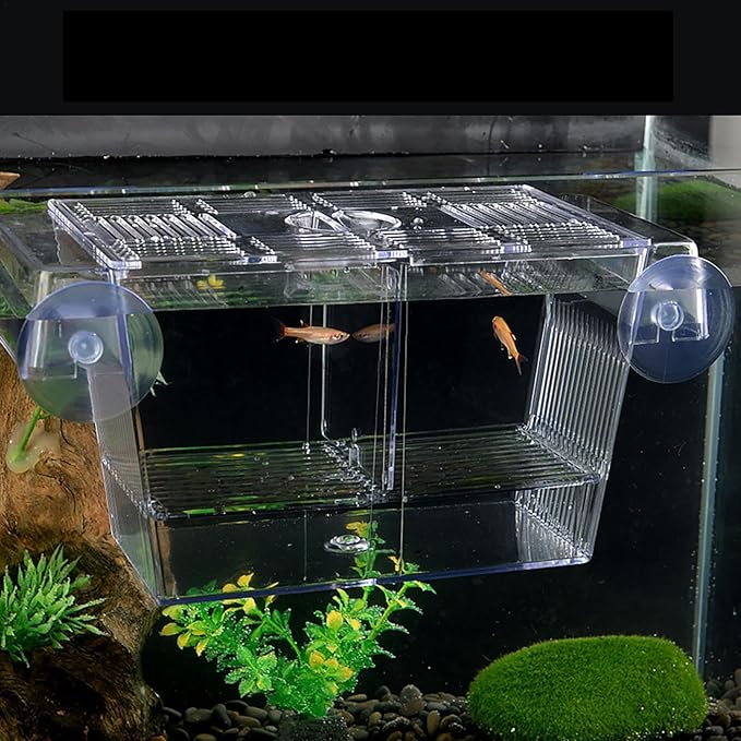 1/2 Fish Breeding Box - Aquarium Breeder Box, Fish Acclimation Box with 2 Suction Cups | Easily Install Fish Isolation Box, Acrylic Aquarium Hatchery Incubator for Baby Fishes Shrimp Betta Guppy