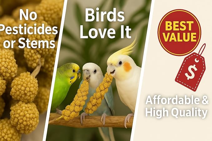 Nemeth Farms 25lbs Premium Spray Millet for Exotic Birds – Grown in The USA – 100% Natural & Non‑GMO Bird Treat – Sun‑Dried Millet for Parakeets, Conures, Cockatiels, Parrots & Budgies