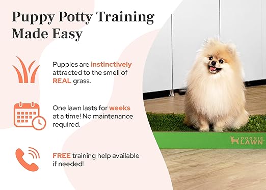 DoggieLawn Real Grass Puppy Pee Pads- 24 x 9 Inches - Perfect Indoor Litter Box for Dogs - No Mess, Easy-to-Use - Potty Training for Pets - Eco-Friendly Disposable Bathroom with Real Living Grass