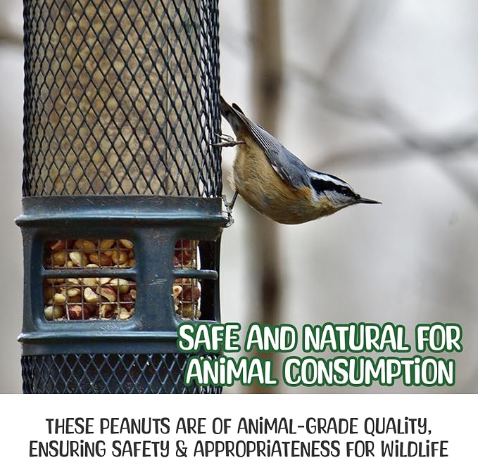 Premium Quality Raw Peanuts in Shell - 8 Pounds – All-Natural Food for Squirrels, Deer, Birds, and Other Wildlife Animals – Grown in The USA for Healthy Nutrition