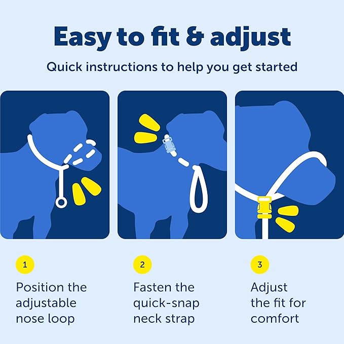 PetSafe Gentle Leader No-Pull Dog Headcollar - The Ultimate Solution to Pulling - Redirects Your Dog's Pulling for Easier Walks - Helps You Regain Control - Small, Apple Green