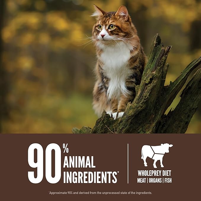ORIJEN Grain Free High Protein Premium Dry Cat Food Regional Red Recipe 12lb Bag