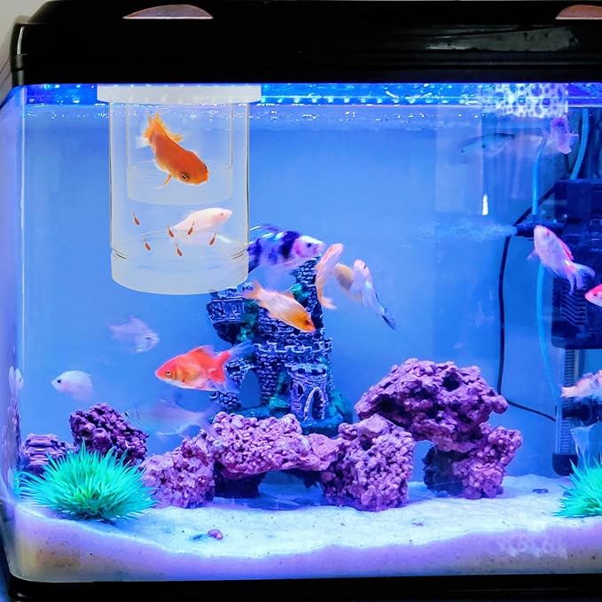 BESPORTBLE Aquarium Fish Breeding Box Floating Hatchery Incubator with Fine and Coarse Mesh Nets White Set for Guppy Betta Shrimp Nursery and Isolation in Fish Tanks