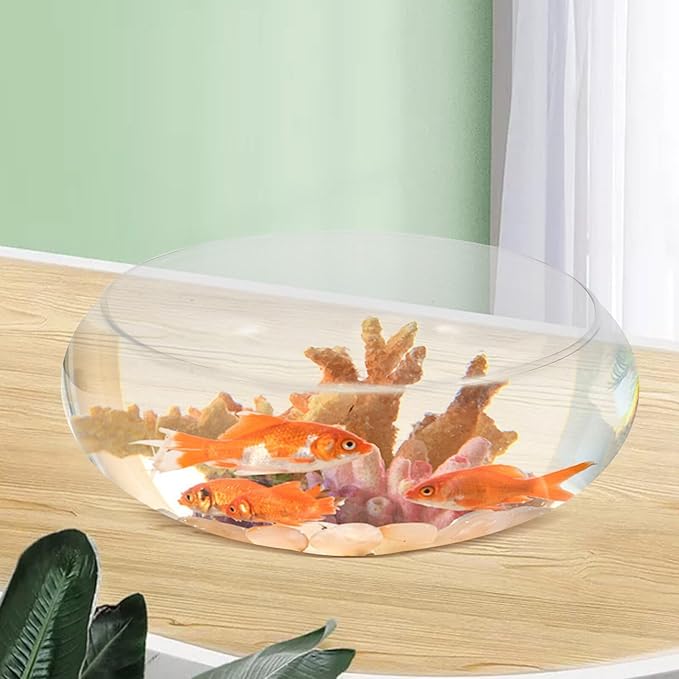 SUPVOX Glass Daffodil Pot 9.84 Inch Clear Round Fishbowl Planter Hydroponic Aquarium Bowl for Succulent Plants Home Garden Decoration