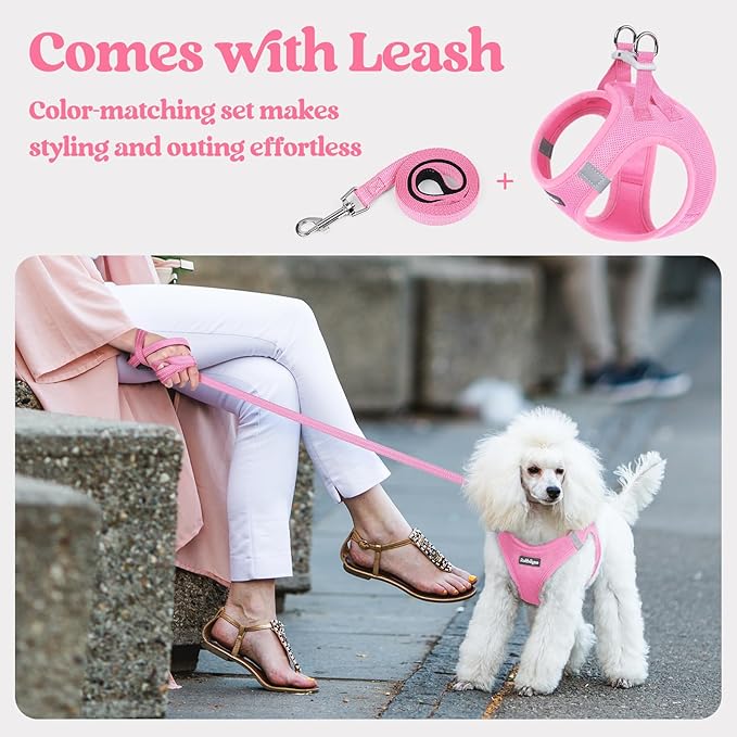 rabbitgoo Dog Harness Small Sized and Leash Set, Step in Soft Light Puppy Vest, Breathable Mesh Pet Harness, Reflective for Safe Easy Walking, Light Pink M