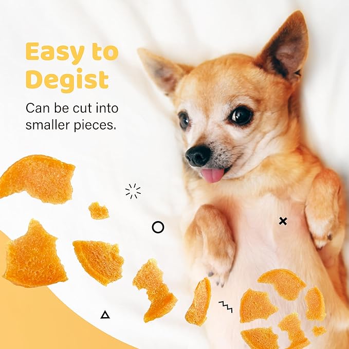 iPaw Turkey Chips Dog Treats for Puppy Training, All Natural Human Grade Dog Treat, US Sourced Raw Material, Hypoallergenic, Easy to Digest (Turkey Chips)