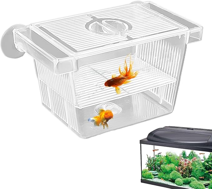 1/2 Fish Breeding Box - Aquarium Breeder Box, Fish Acclimation Box with 2 Suction Cups | Easily Install Fish Isolation Box, Acrylic Aquarium Hatchery Incubator for Baby Fishes Shrimp Betta Guppy