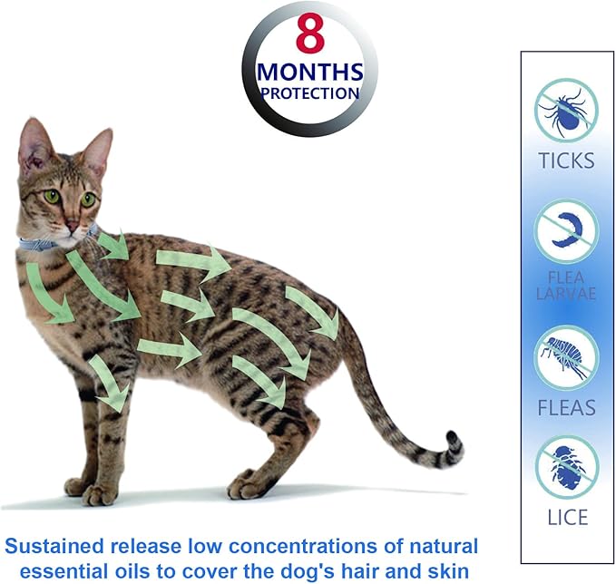 Natural Ingredients Flea Collar for Cats, Safe and Effective Flea and Tick Collar, Waterproof, 8 Months Protection, Free Comb and Tick Scoop,Prevention Treatment Drop, One Size Fits All, 1-Pack