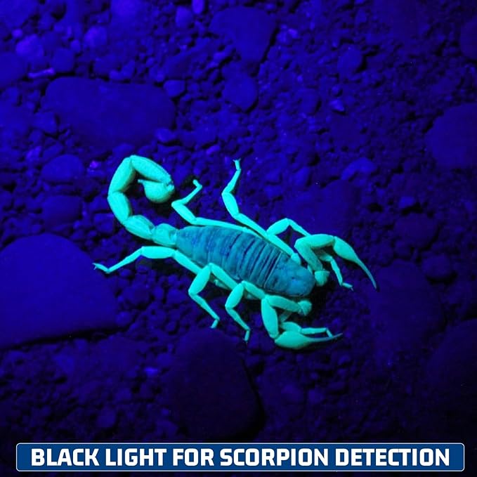 S3U UV Flashlight Blacklight, Rechargeable Powerful Handheld UV Light for Resin Curing, Pet Urine & Scorpion Detection, Rocks & Minerals Hunting (365NM)