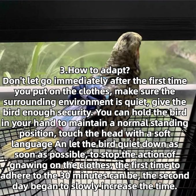 Bird Diaper Cockatiel Clothes Flight Suite, Reusable Parrot Nappy with Waterproof Inner Layer, Cute Pigeon Pants Urine Wet Suit Costume for Conure Macaw (Red,Macaw)