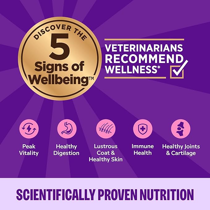 Wellness Complete Health Pate Adult Wet Cat Food,Natural,Protein-Rich,Grain Free,3 Ounce,(Chicken),(Pack of 48)