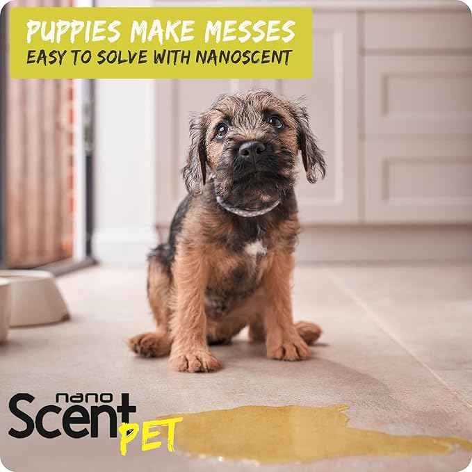 PET Urine Remover for Dogs & Cats, Eliminates Odors & Stains, 98% Natural Ingredients, Safe for Pets & Home, Bio-Active Enzymes + Long-Lasting Fresh Scent, Carpet, Floors & Furniture (50mL)