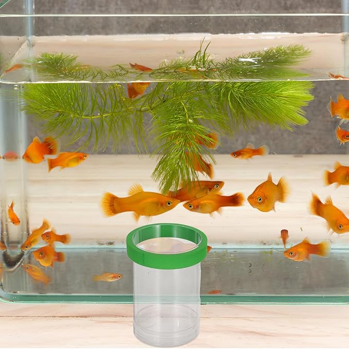 Aquarium Fish Breeding Box Floating Isolation Chamber with Divider and Egg Net Small Hatchery Incubator for Guppy